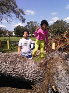 Ana on a fallen tree
